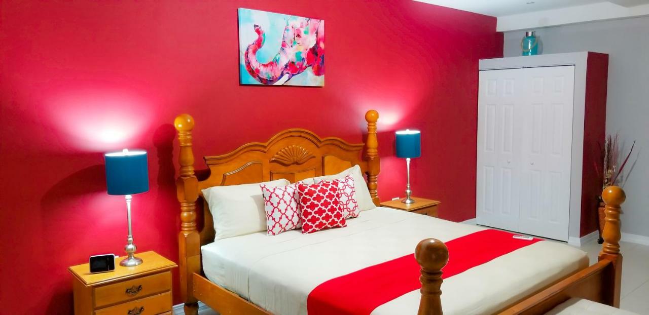 New Kingston Guest Apartments @ Donhead المظهر الخارجي الصورة