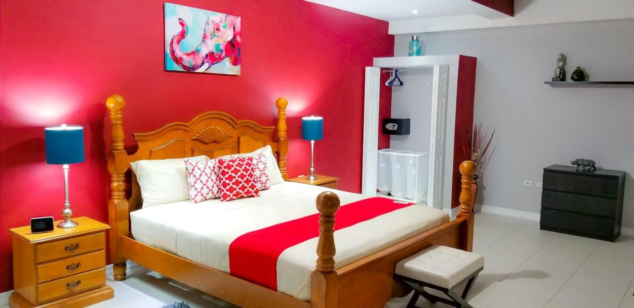 New Kingston Guest Apartments @ Donhead المظهر الخارجي الصورة