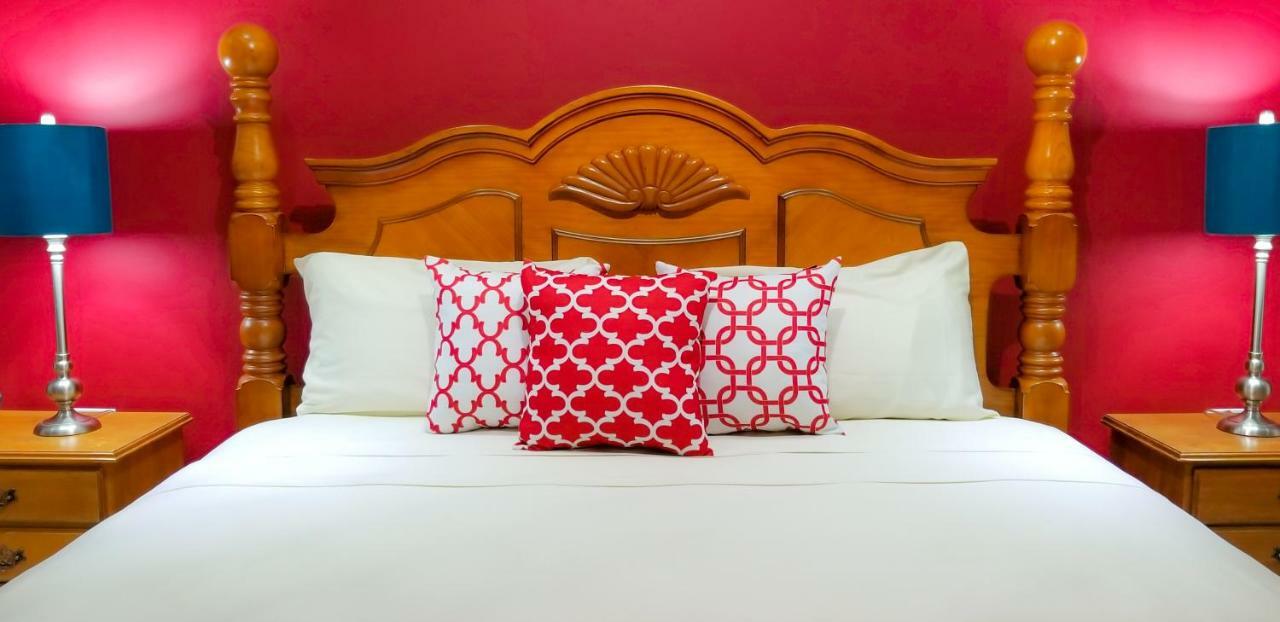 New Kingston Guest Apartments @ Donhead المظهر الخارجي الصورة