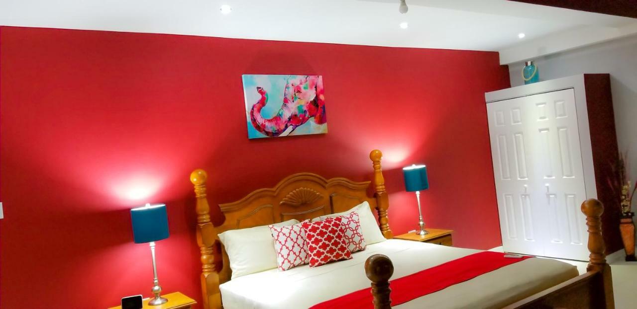 New Kingston Guest Apartments @ Donhead المظهر الخارجي الصورة