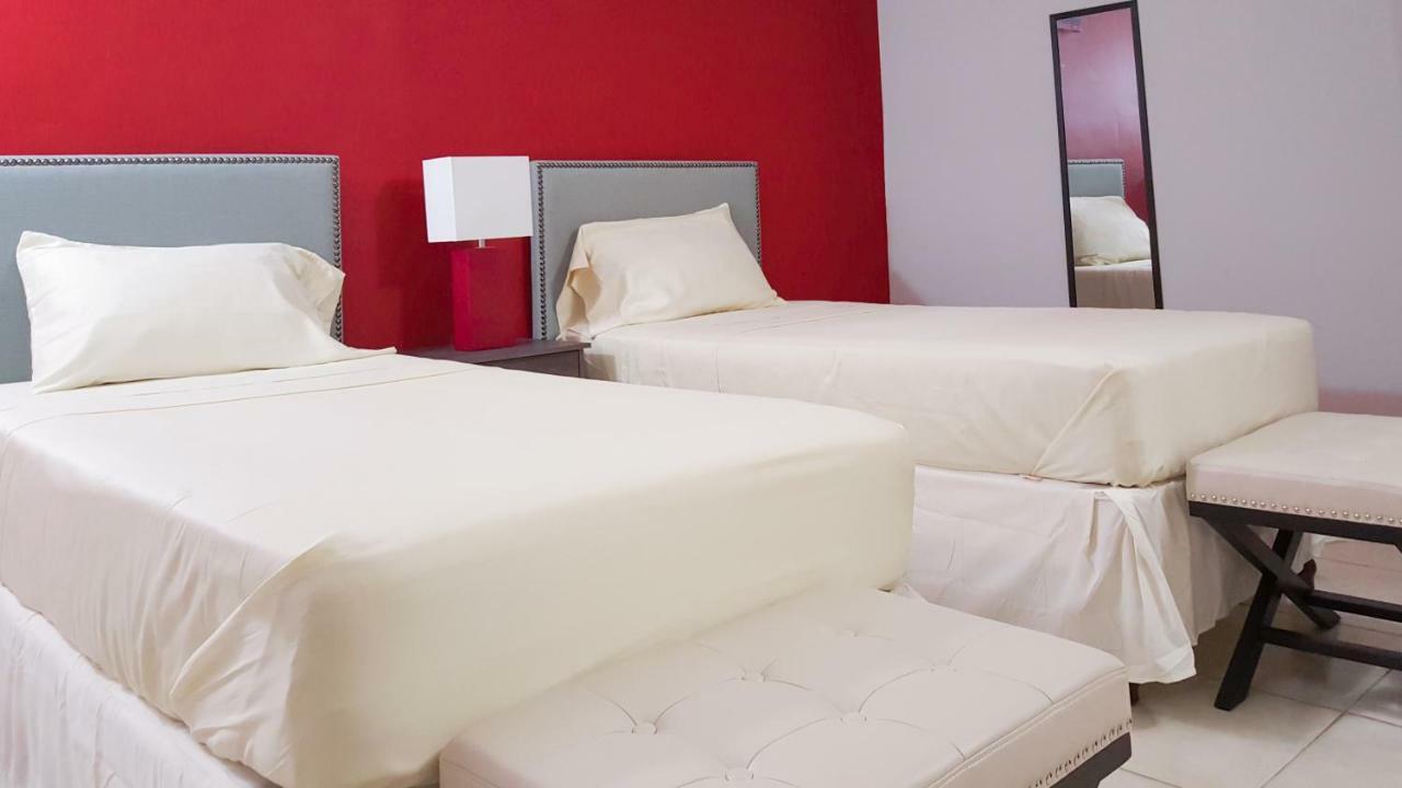 New Kingston Guest Apartments @ Donhead المظهر الخارجي الصورة